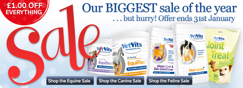 Our biggest sale of the year
