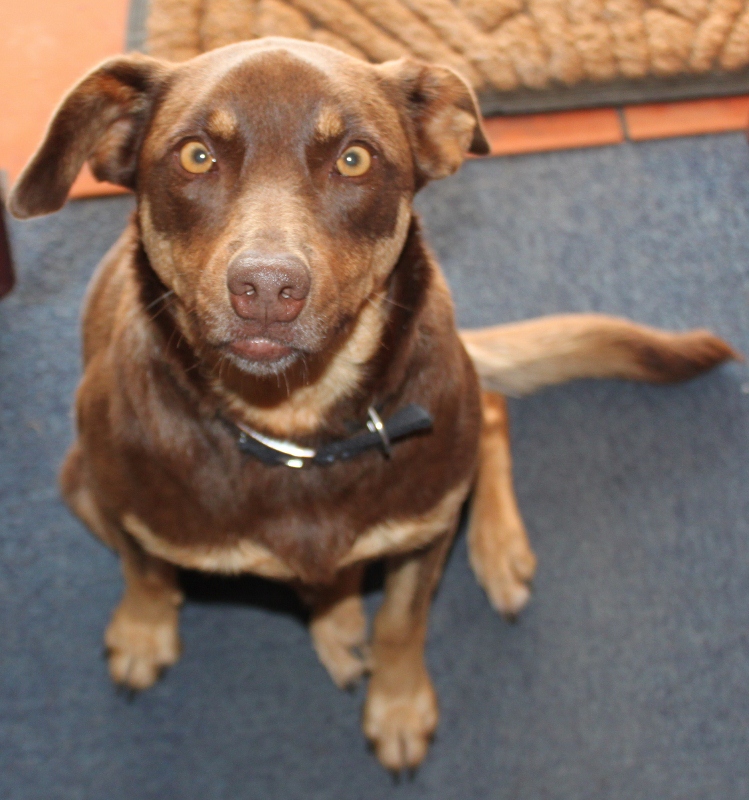 Bentlee