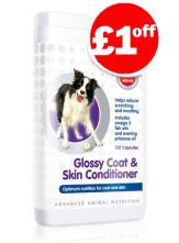 Glossy Coat and Skin Conditioner Capsules for Dogs 